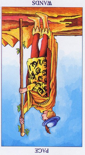 Page of wands карта таро